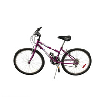 RALEIGH SUNDOWNER BIKE