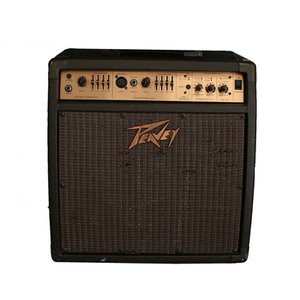 PEAVEY ECOUSTIC E110 ACOUSTIC GUITAR AMPLIFIER 