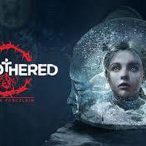NINTENDO SWITCH REMOTHERED BROKEN PORCELAIN GAME ONLY NO CASE