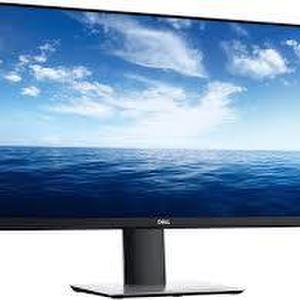 DELL 24 INCH PROFESSIONAL GRADE MONITOR