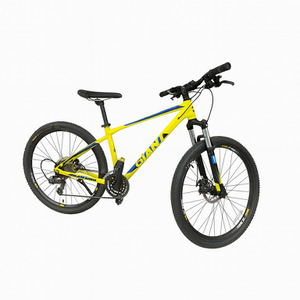 GIANT ATX2 MOUNTAIN BIKE
