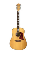 COLE CLARK FL2A AUSTRALIAN GUITAR